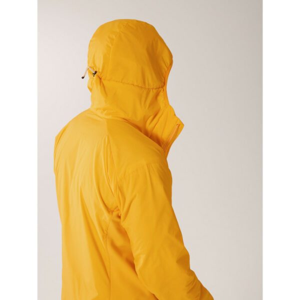 Arc'teryx Atom Hoody