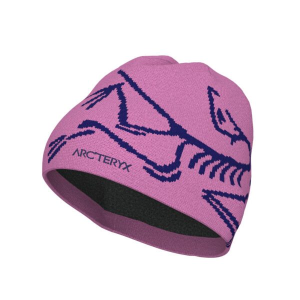 Arc'teryx Bird Head Toque - immagine 3