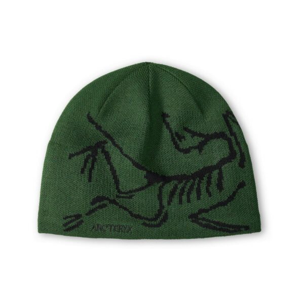 arc'teryx bird head toque
