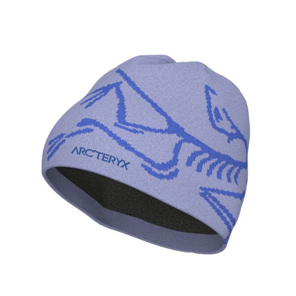 Arc'teryx Bird Head Toque - immagine 2