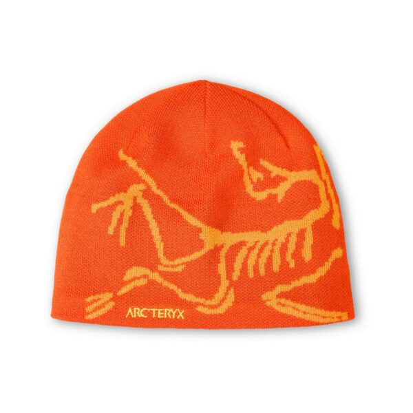 arc'teryx bird head toque