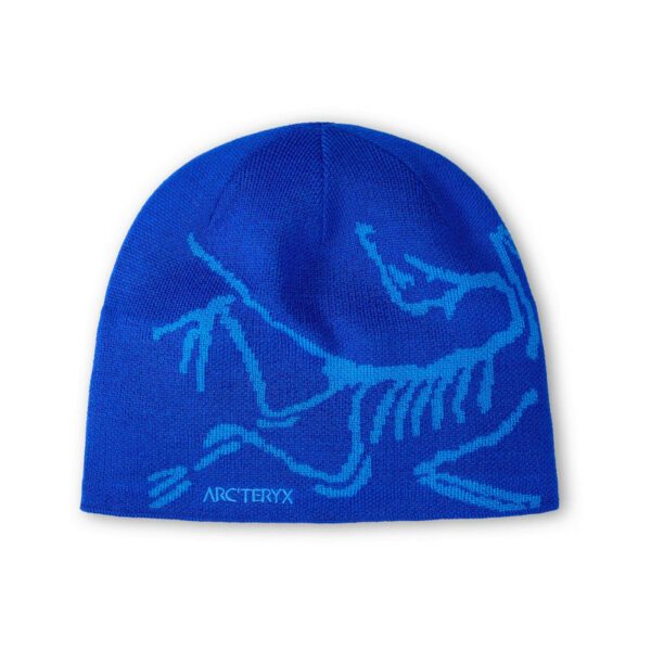 arc'teryx bird head toque
