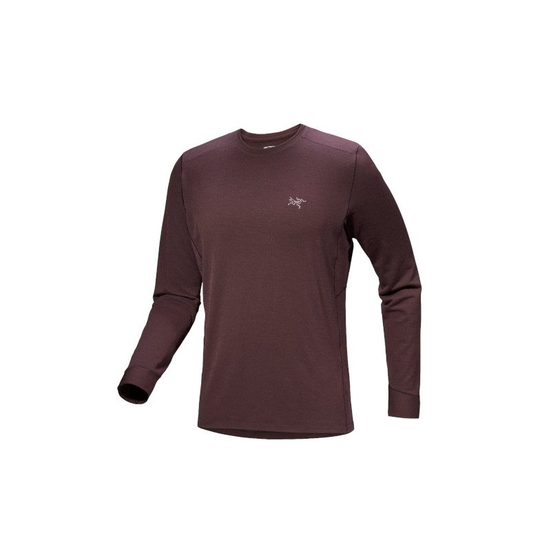 Arc'teryx Rho Merino Wool Crew Neck LS