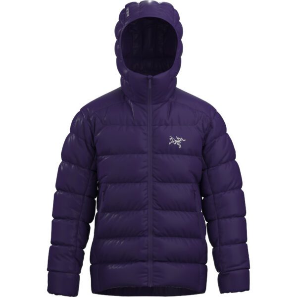 Arc'teryx Cerium SV Hoody - immagine 2